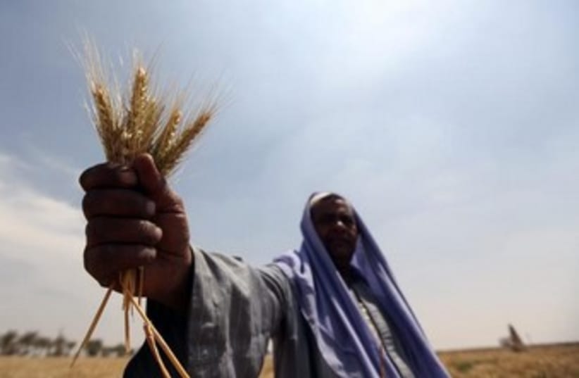 Egyptian farmer (photo credit:  REUTERS/Mohamed Abd El Ghany)
