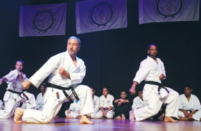 Martial arts peace performance Budo 370 (photo credit: Courtesy Eldad Maestro/Budo for Peace)