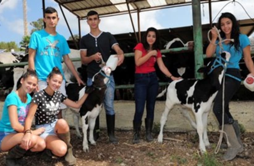 WIZO teens take agriculture matriculation exam  (photo credit: Courtesy of WIZO Israel)