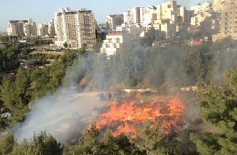 Jerusalem fire 370 (photo credit: Joy Goldberg - Associated News 24)