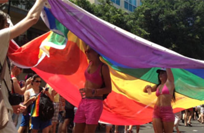 Gay Pride, Tel Aviv, June 7, 2013. (photo credit: Julie Steigerwald)