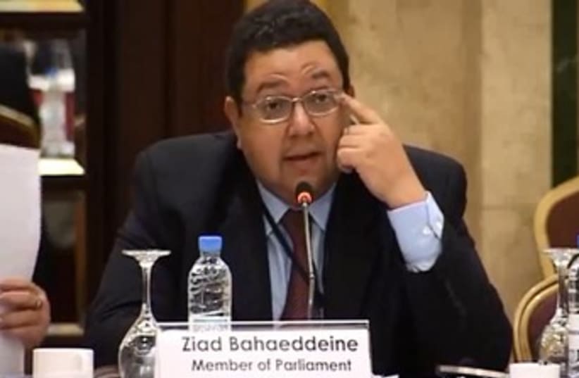 Ziad Bahaa El-Din 370 (Screenshot) (photo credit: Credit the UN YouTube account)