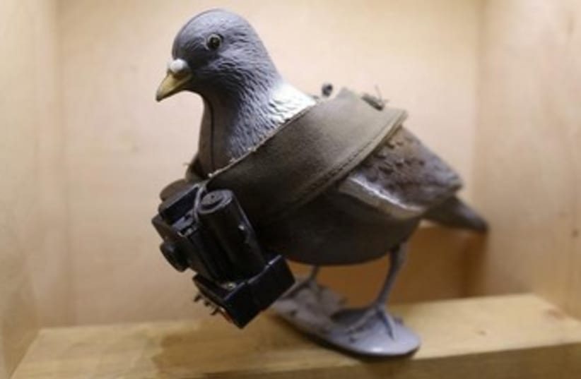 Spy bird, fake bird with a camera 370  (photo credit: REUTERS)