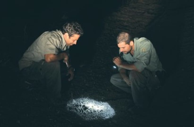 Park rangers inspect torch light 370 (photo credit: Ben Hartman)