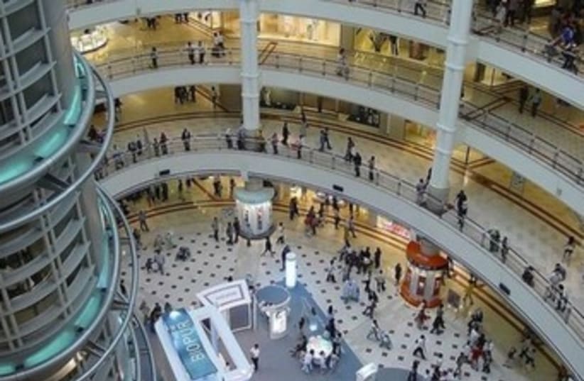 Picture of Malaysian mall on IDF blog 370 (photo credit: IDF blog)