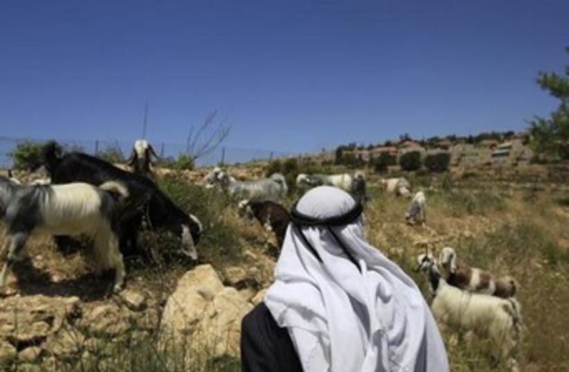 A Palestinian shepherd 370 (photo credit: REUTERS/Ronen Zvulun)