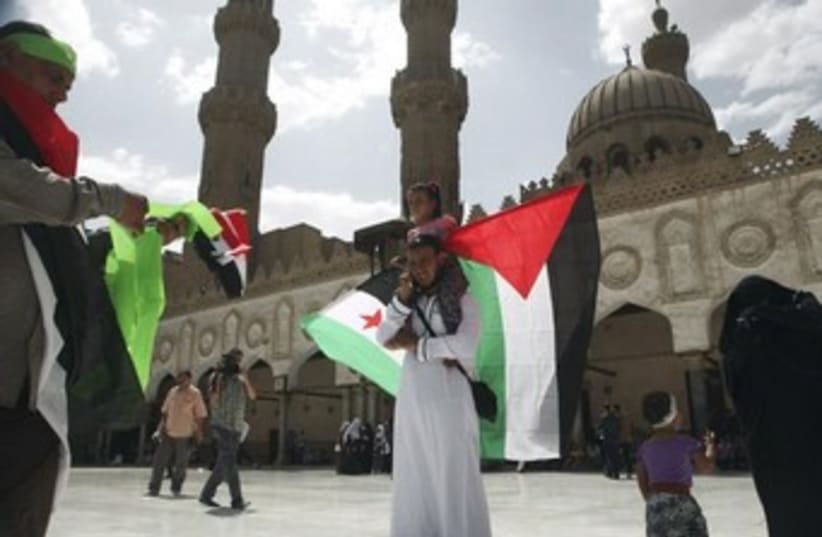Egypt, Palestine, Syria flags (photo credit: REUTERS/Asmaa Waguih )