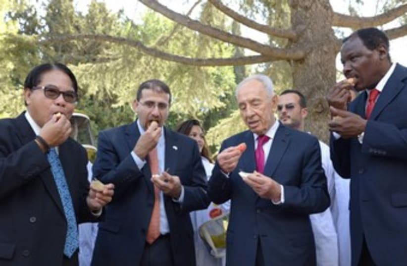 President Shimon Peres with envoys at Rosh Hashana ceremony  (photo credit: Mark Neiman/GPO)