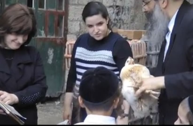 Transferring sins onto a chicken? Rabbi questions kapparot ritual - The ...