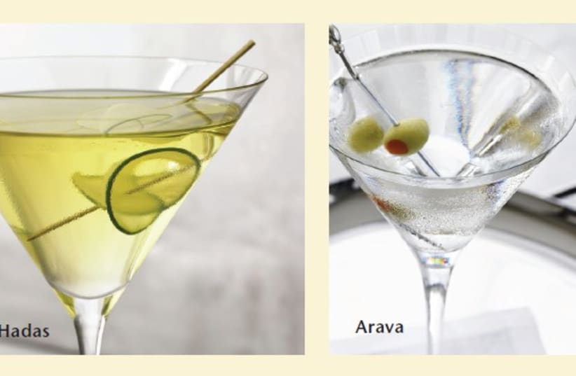 Four drinks for the Four Species (photo credit: Courtesy)