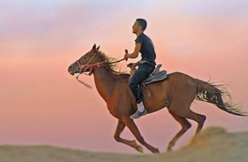 Picture from the Parasha man on a horse 370 (photo credit: Israel Weiss (weisssi@bezeqint.net) http://artfram)