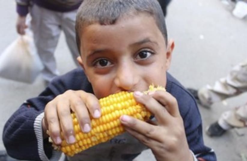 Syrian boy eats corn in Aleppo 370 (photo credit: REUTERS)