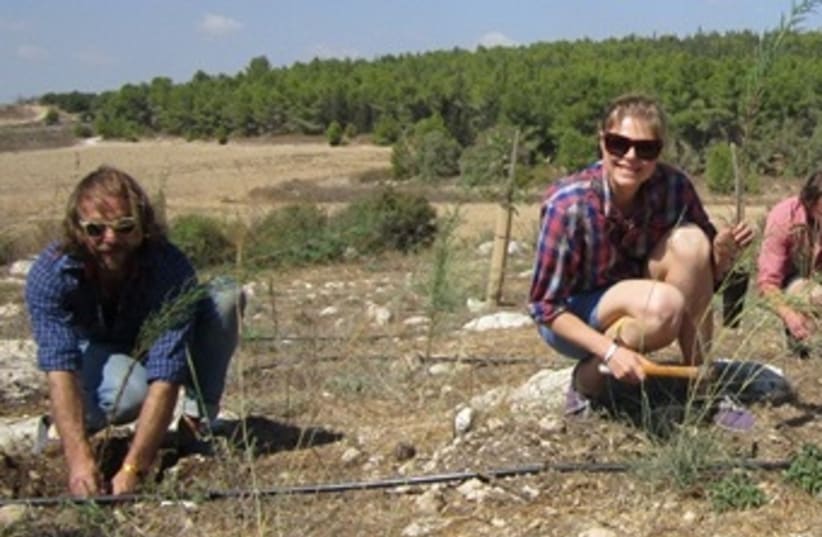 Please the Trees Band Plants Trees in Israel (photo credit: KKL)
