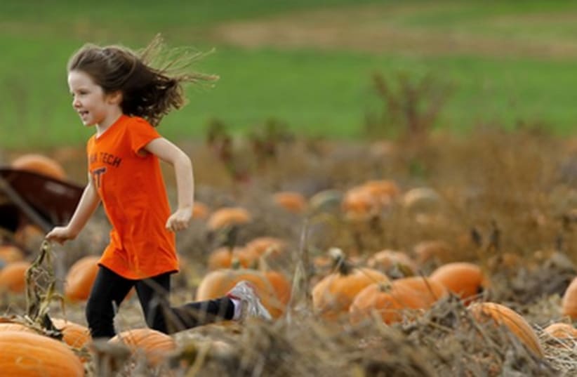 pumpkin 521 (photo credit: REUTERS/Gary Cameron)