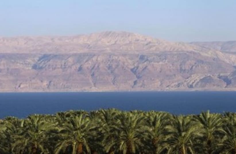 Dead Sea with palm trees 370 (photo credit: REUTERS)