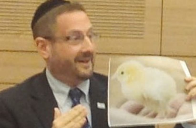 MK DOV LIPMAN holds up a photo of a newborn chick 370 (photo credit: Courtesy Anonymous for Animal Rights)