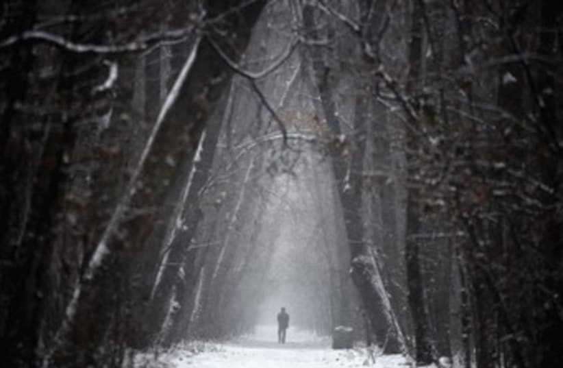 A man walks through a forest in western Ukraine. (photo credit: Reuters)