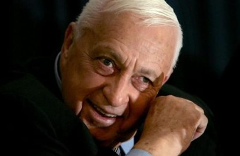 Former Israel prime minister Ariel Sharon speaks to the media (photo credit: Reuters)