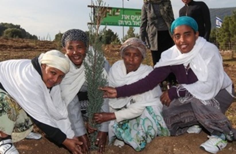 Ethiopian Immigrants Plant Roots in Israel-1 (photo credit: KKL-JNF)