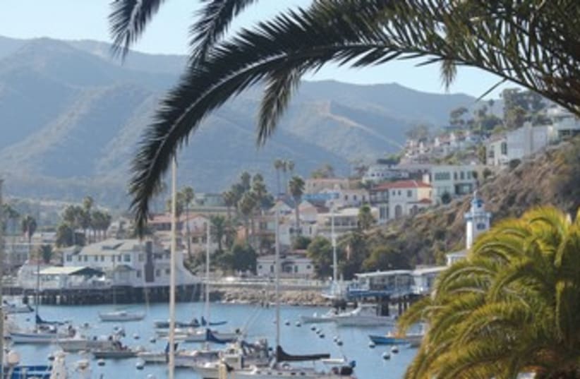 PALMS FRAME a romantic view of the Avalon harbor on Catalina Island.  (photo credit: GEORGE MEDOVOY)