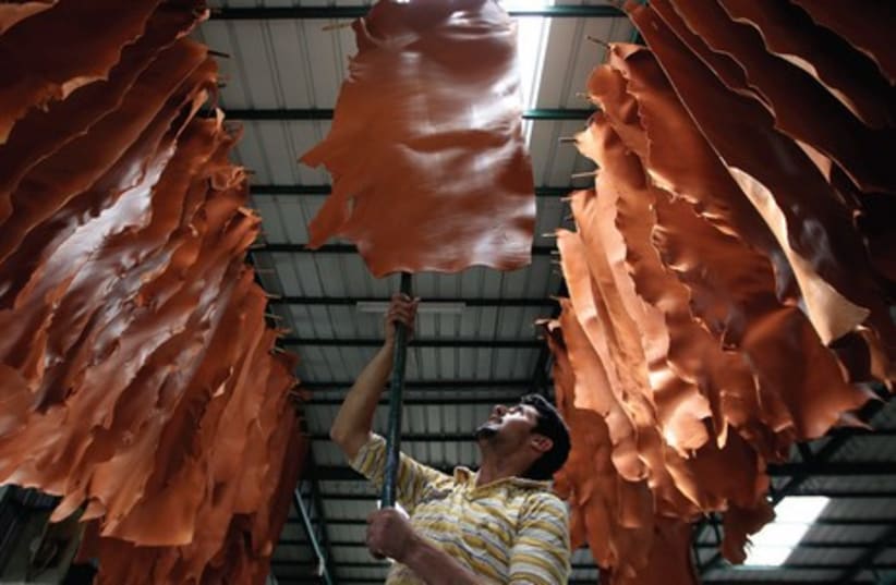 A TANNERY WORKER hangs pieces of leather to dry at a Hebron leather factory (photo credit: AMMAR AWAD/REUTERS)