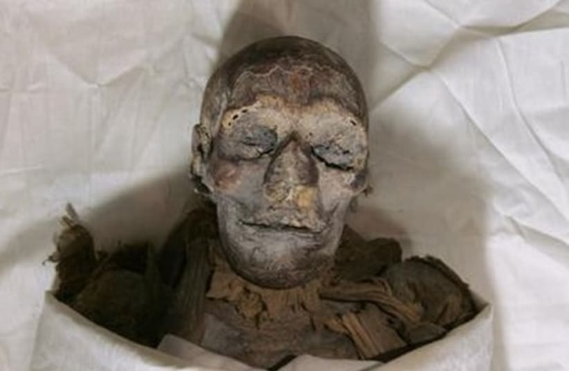Mummy at museum in Cairo, 2007 (photo credit: REUTERS)