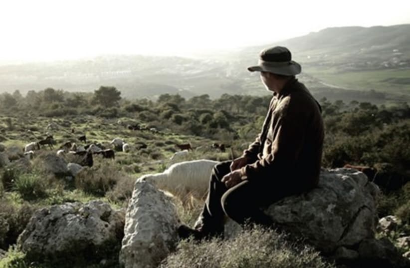 Avshi Yaaran on his goat farm in the film ‘Four Variations on Detachment.’ Inset: director Ohad Milstein. (photo credit: OHAD MILSTEIN)