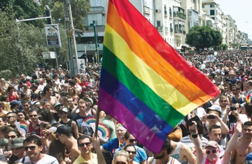 Thousands of people march in the 2013 Gay Pride parade in Tel Aviv. (photo credit: REUTERS)