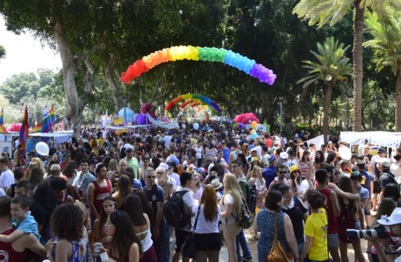 Gathering for the 2014 Gay Pride Festival in Tel Aviv's Gan Meir, June 13, 2014. (photo credit: CAROLINE FRANK)