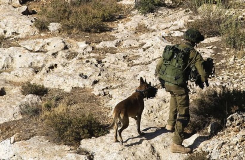 An Israeli soldier and his dog take part in a massive search operation in the Hebron area June 17 to locate three Israeli teens kidnapped in the West Bank, June 12 (photo credit: AMIR COHEN - REUTERS)