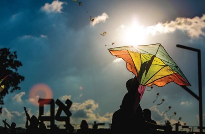 Kite-flying in the Art Garden (weather permitting), and encounters with professional kite-flyers (photo credit: Courtesy)