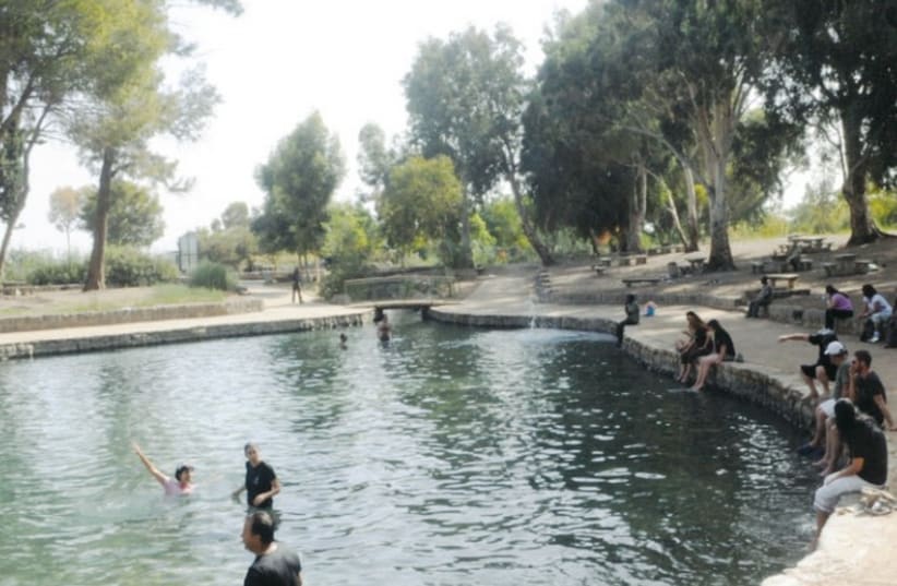 Adults and children alike cool off in one of the many pools in Gan Hashlosha, or as it is popularly known, Sakhne. (photo credit: Courtesy)