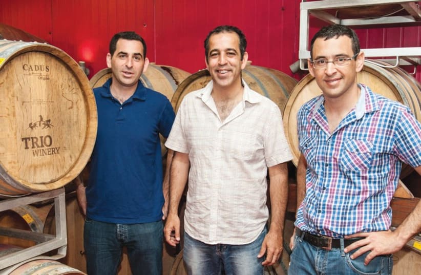 The wily Shaked cousins have raised their Trio Winery to new heights. (photo credit: PR)