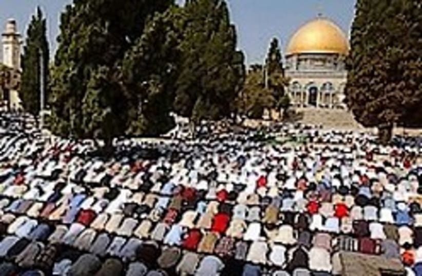 Muslims Temple Mount 224.88 (photo credit: )