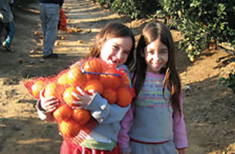 Girl oranges 88 224 (photo credit: Wendy Blumfield)