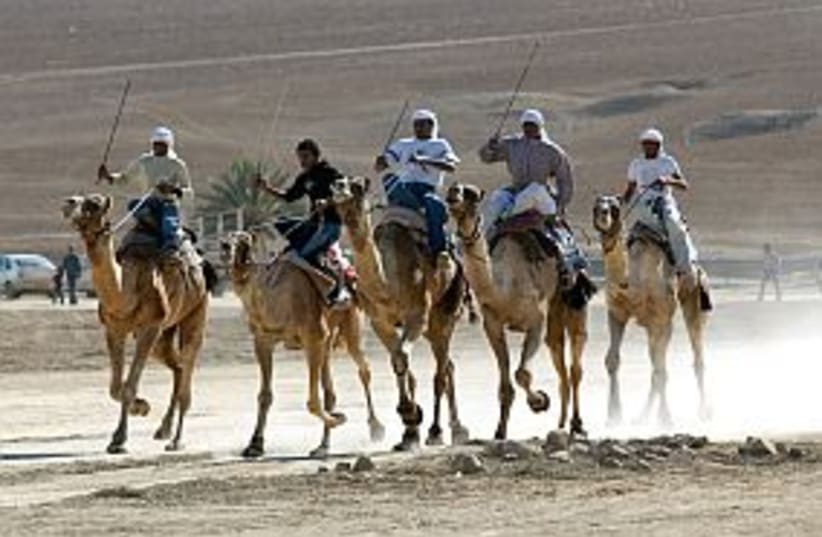 bedouins on camels 298 (photo credit: Ariel Jerozolimski)