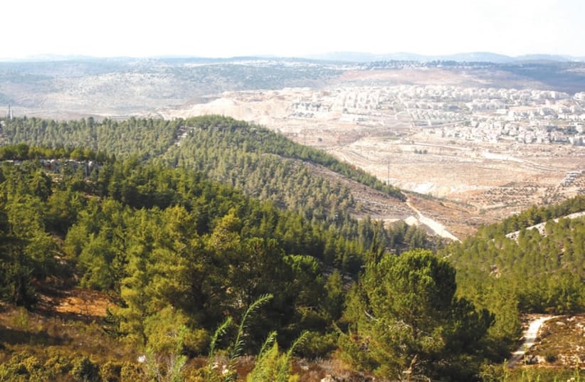The ‘state lands’ of Gvaot in the Etzion Bloc (photo credit: REUTERS)