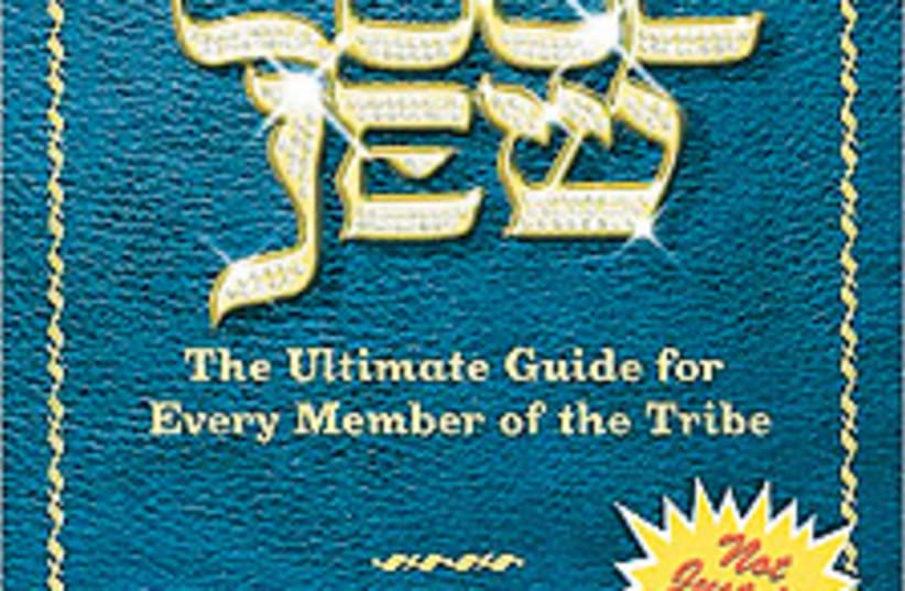 cool jew book 88 224 (photo credit: Courtesy )