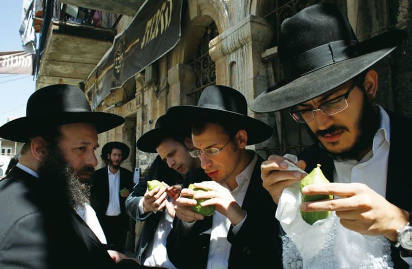 Men inspect etrogim ahead of Succot in Jerusalem’s Mea She’arim neighborhood. (photo credit: REUTERS)