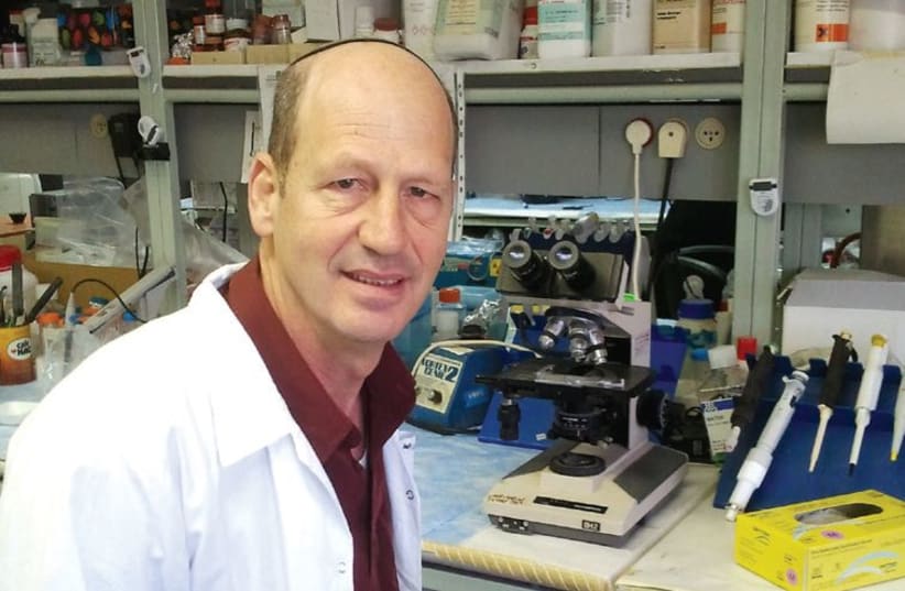 Daniel Offen and Eldad Melamed, faculty members at Tel Aviv University, led a group of researchers in pioneering the first treatment method shown to stabilize ALS patients. (photo credit: Courtesy)