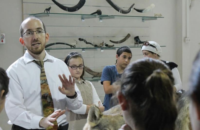 The ‘Zoo Rabbi’ Natan Slifkin stands in front of the shofar exhibit during a tour of his new Biblical Museum of Natural History. (photo credit: SAM SOKOL)