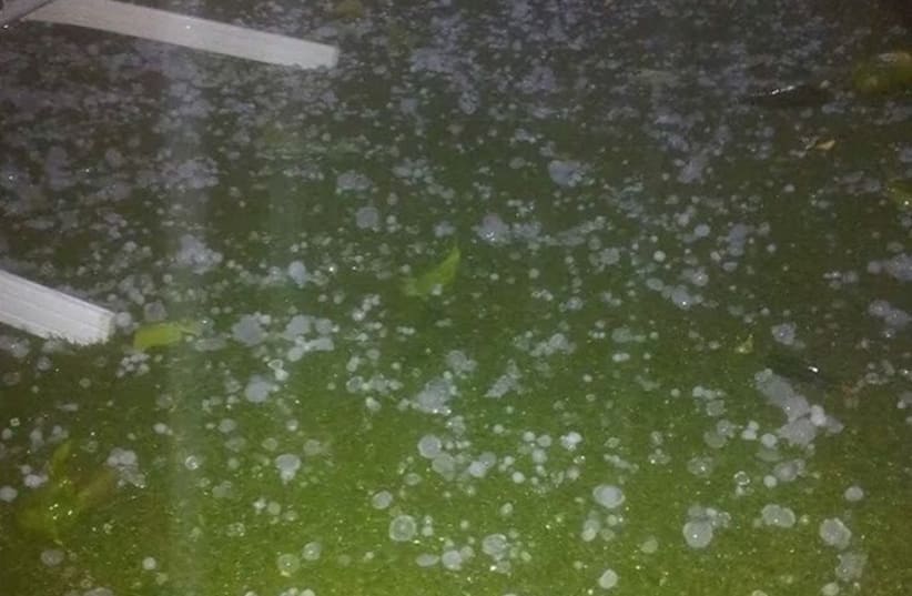 Large hail in northern Israel (photo credit: ISRAEL FIRE AND RESCUE AUTHORITY SPOKESMAN)