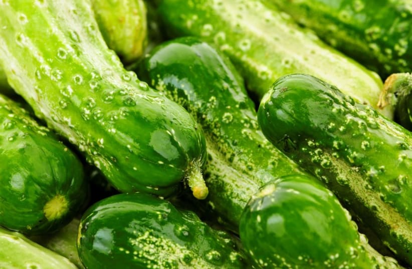 Cucumbers  (photo credit: INGIMAGE)