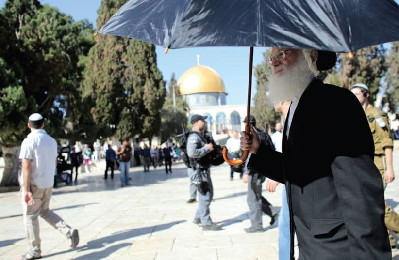 A Jewish man visits the plaza of the Dome of the Rock on October 27. (photo credit: REUTERS)