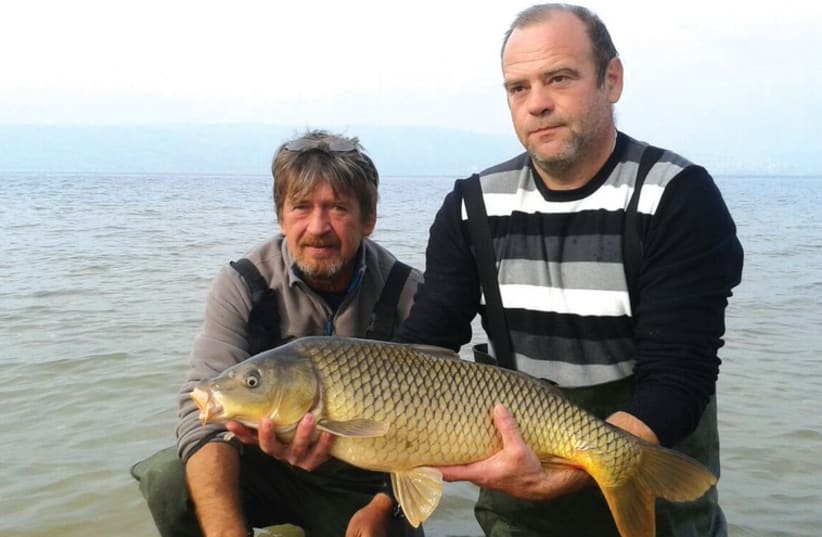 The Wild Carp team caught the biggest fish at the Israfish competition, weighing 5.23 kg. (photo credit: COURTESY ISRAFISH)
