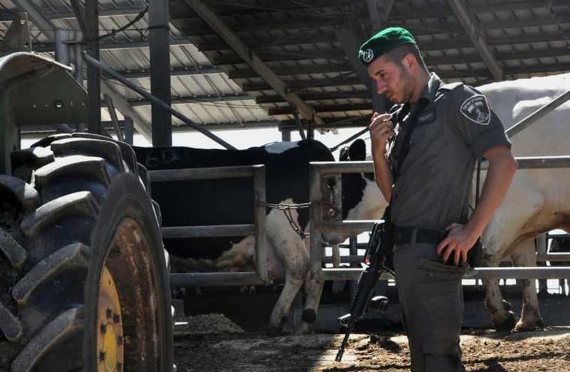 A border police officer at a farm (photo credit: ISRAEL BORDER POLICE SPOKESMAN)