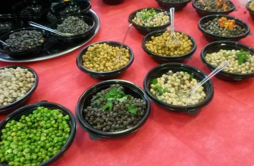 New chickpea varieties at the Volcani Institute. (photo credit: AMY SPIRO)