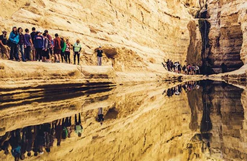A GROUP of North Americans pass Ein Avdat in the Negev Desert during last month’s inaugural Taglit-Birthright Israel Extreme Outdoors Tour (photo credit: TAGLIT-BIRTHRIGHT)