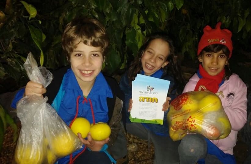 Youth with the citrus fruits they picked from trees as part of Leket Israel's Project Citrus Rescue for Tu Bishvat (photo credit: LEKET ISRAEL)