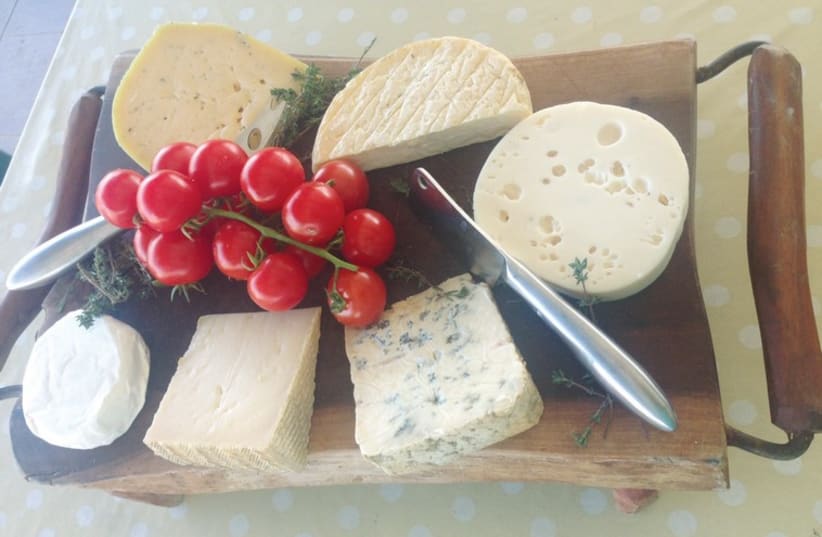 A homemade cheese plate from Be’eri Dairy. (photo credit: MEITAL SHARABI)